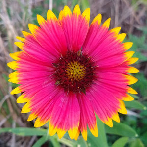 Meet your Posher, Kat